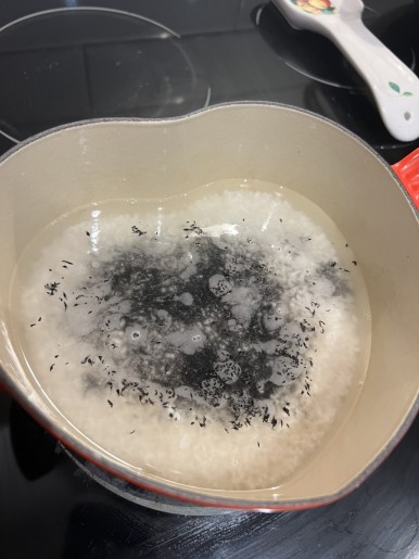 전복 톳 솥밥 캐나다 캘거리