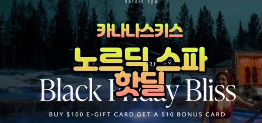 카나나스키스 노르딕스파 핫딜