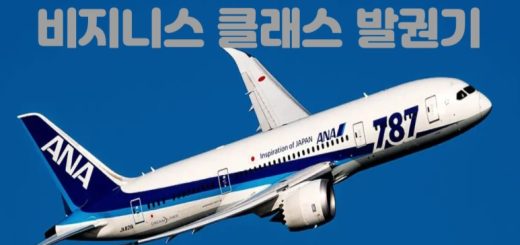 비즈니스 발권기 아나항공 에어로플랜