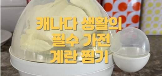 계란 찜기, 필수 가전 추천