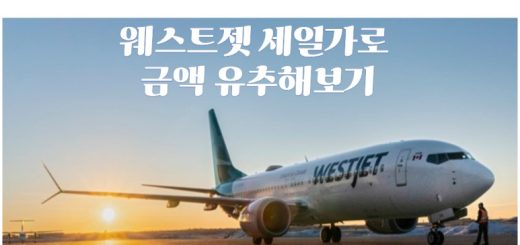 캘거리 인천 직항 가격