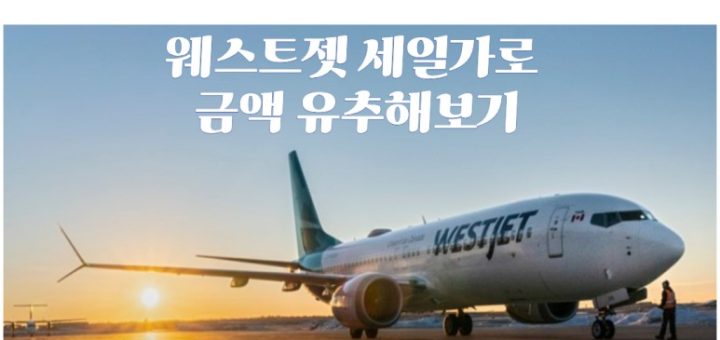 캘거리 인천 직항 가격