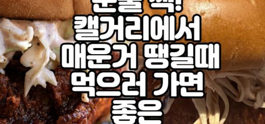 Alumni 매운 치킨 버거