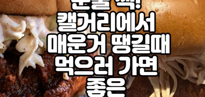 Alumni 매운 치킨 버거