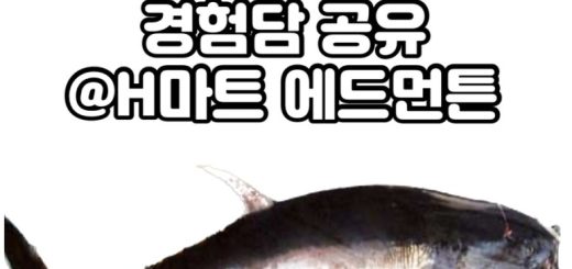 H마트 참치 해체쇼